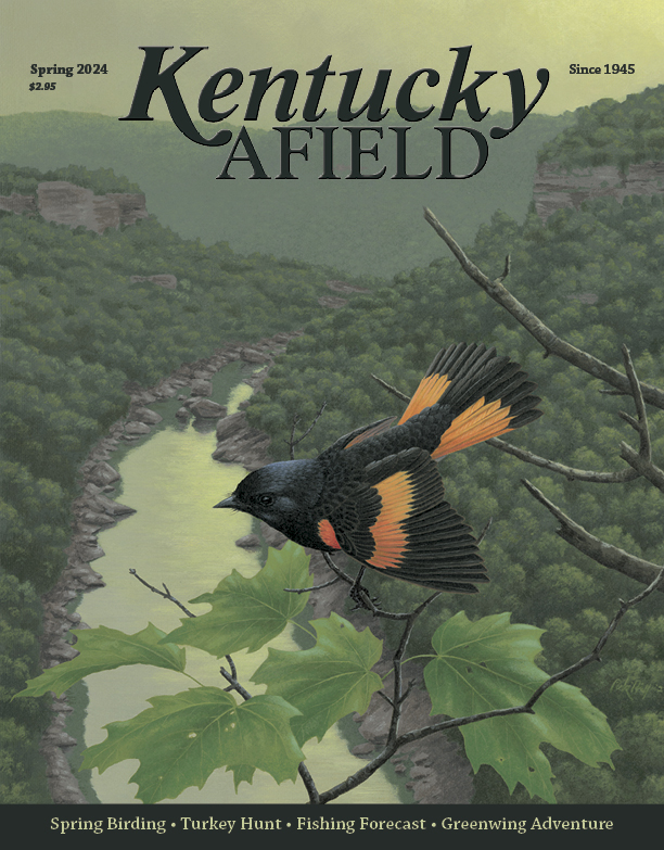 Kentucky Afield Magazine, Spring 2023 Issue