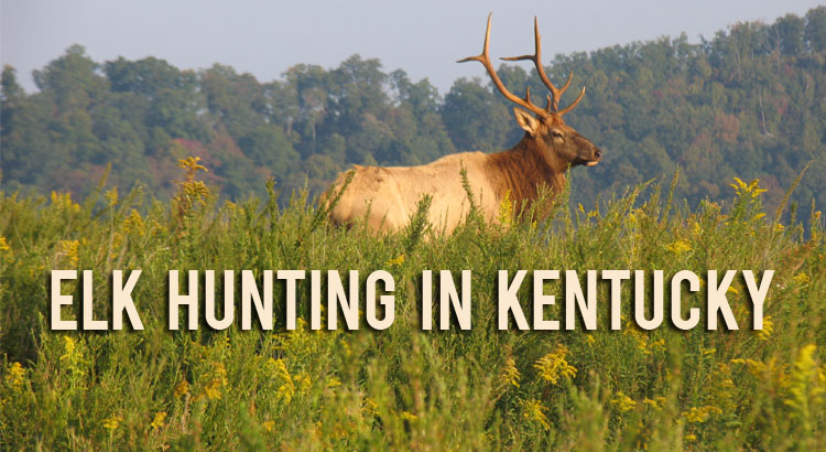 Hunting season calendar kentucky
