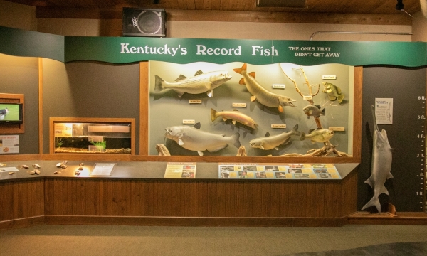 Salato-Kentucky's-Record-Fish-web.jpg