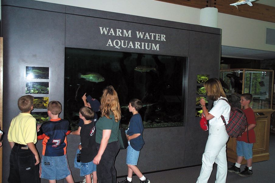 Warm Water Aquarium