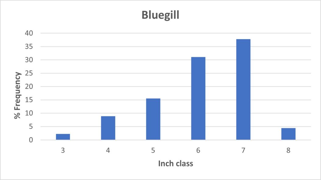 Bluegill Length frequency graph