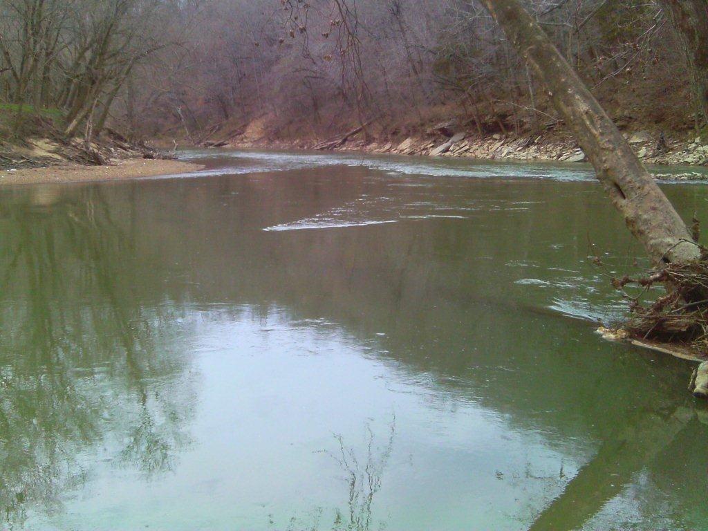 The riffle at the confluence of Lynn Camp Creek and the Green River is a great area to target smallmouth bass, Kentucky spotted bass and rock bass.