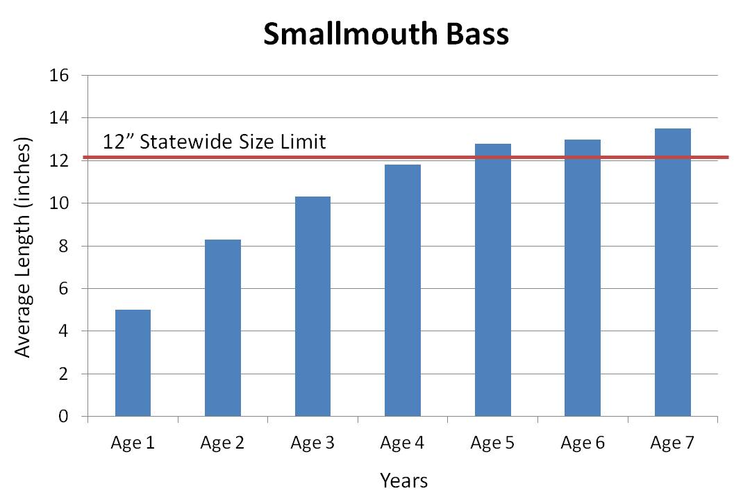 Kentucky Department of Fish & Wildlife Pool 5 Green River