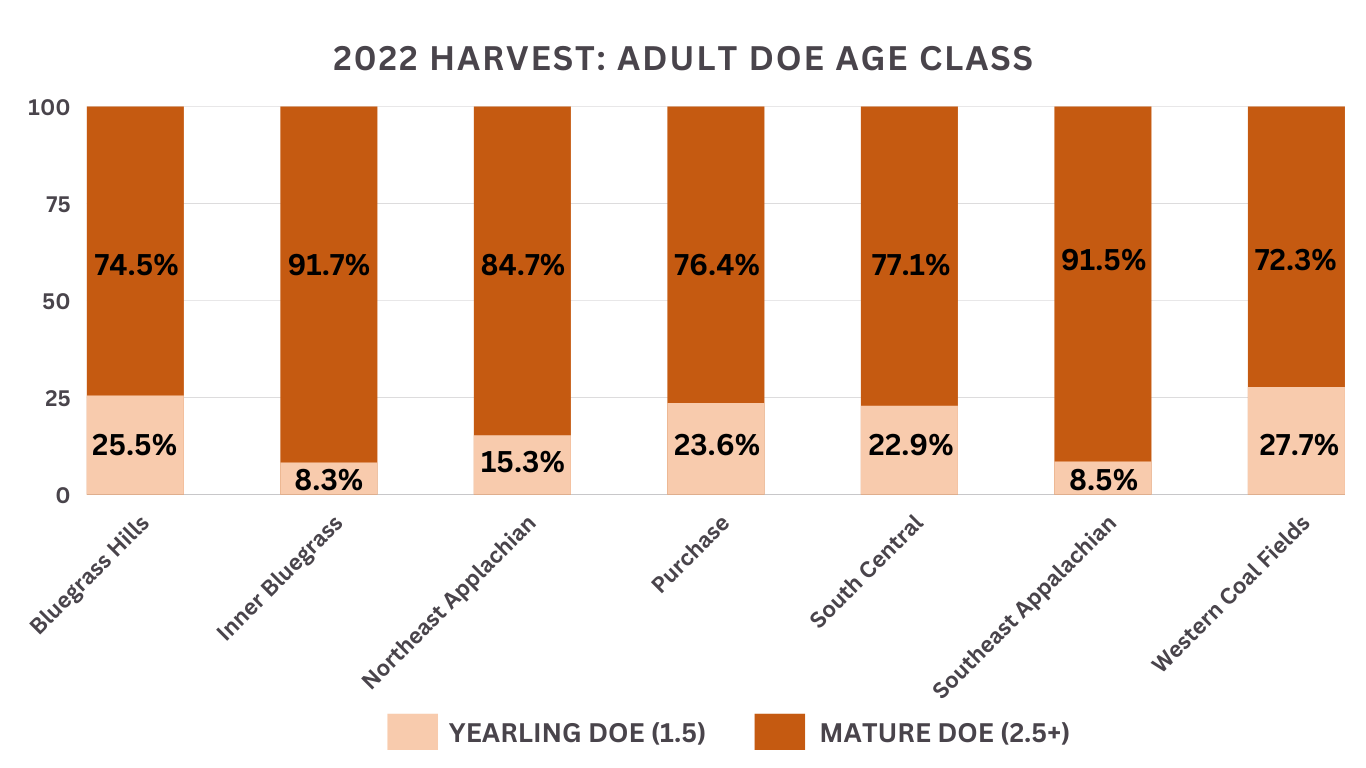 2022-Harvest-Adult-Doe-Age-Class.png