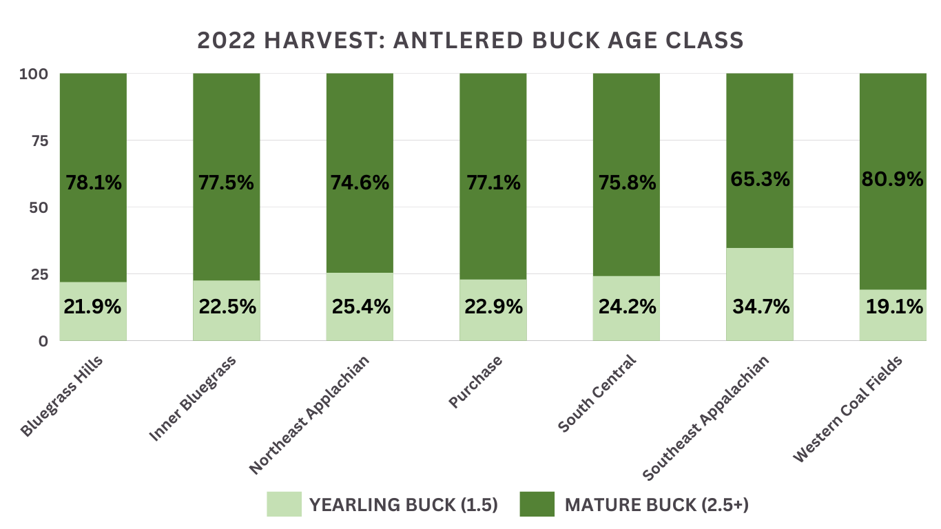 2022-Harvest-Antlered-Buck-Age-Class.png