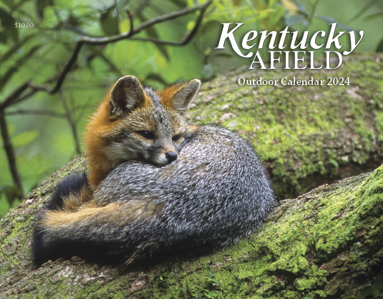 2024 Kentucky Afield Calendar Cover showing a grey fox on a tree