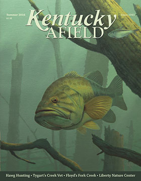 Kentucky Afield Spring 2016 Magazine