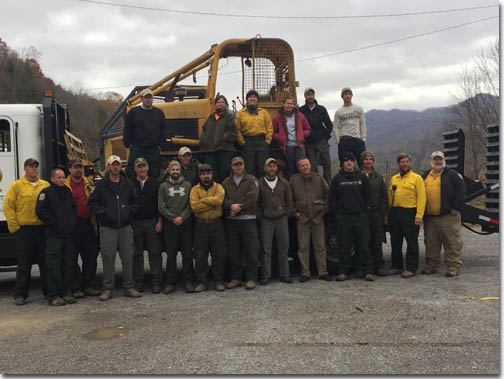 Division of Forestry