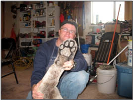 Man holding up a large paw of a mountain lion