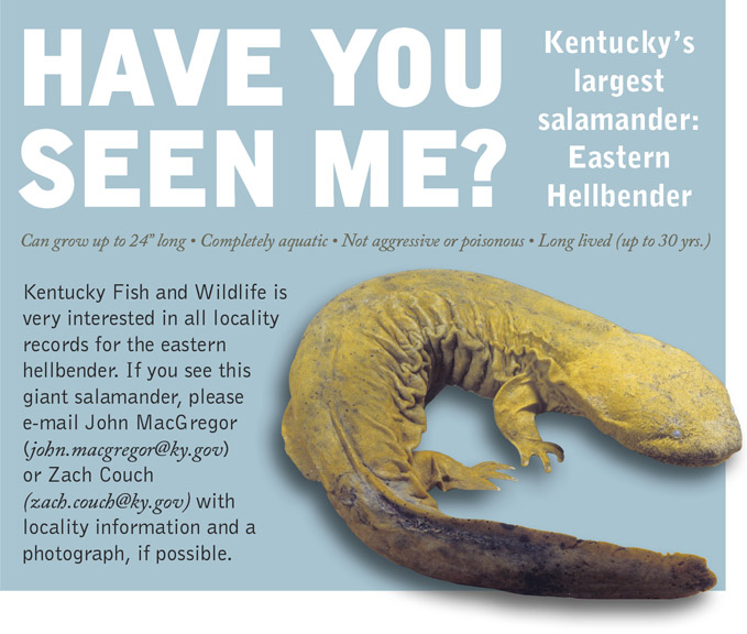 Kentucky Department Of Fish Wildlife Fishing Regulations