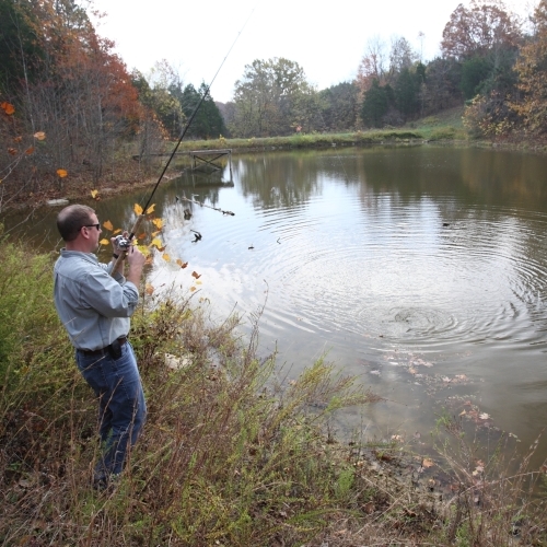 Fishing spots, fishing reports and regulations in Thomas Mitchell Park