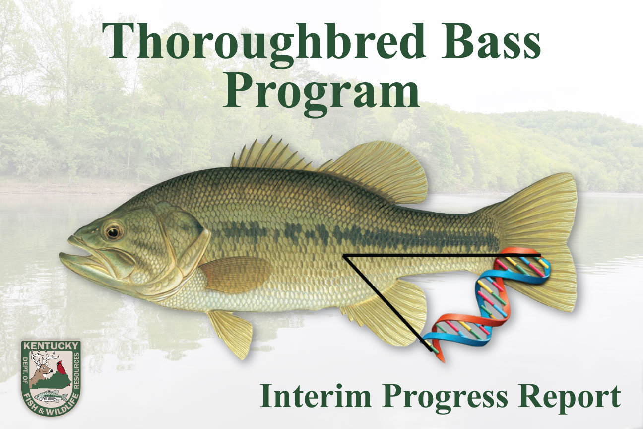 Thoroughbred-Bass-Program-Graphic