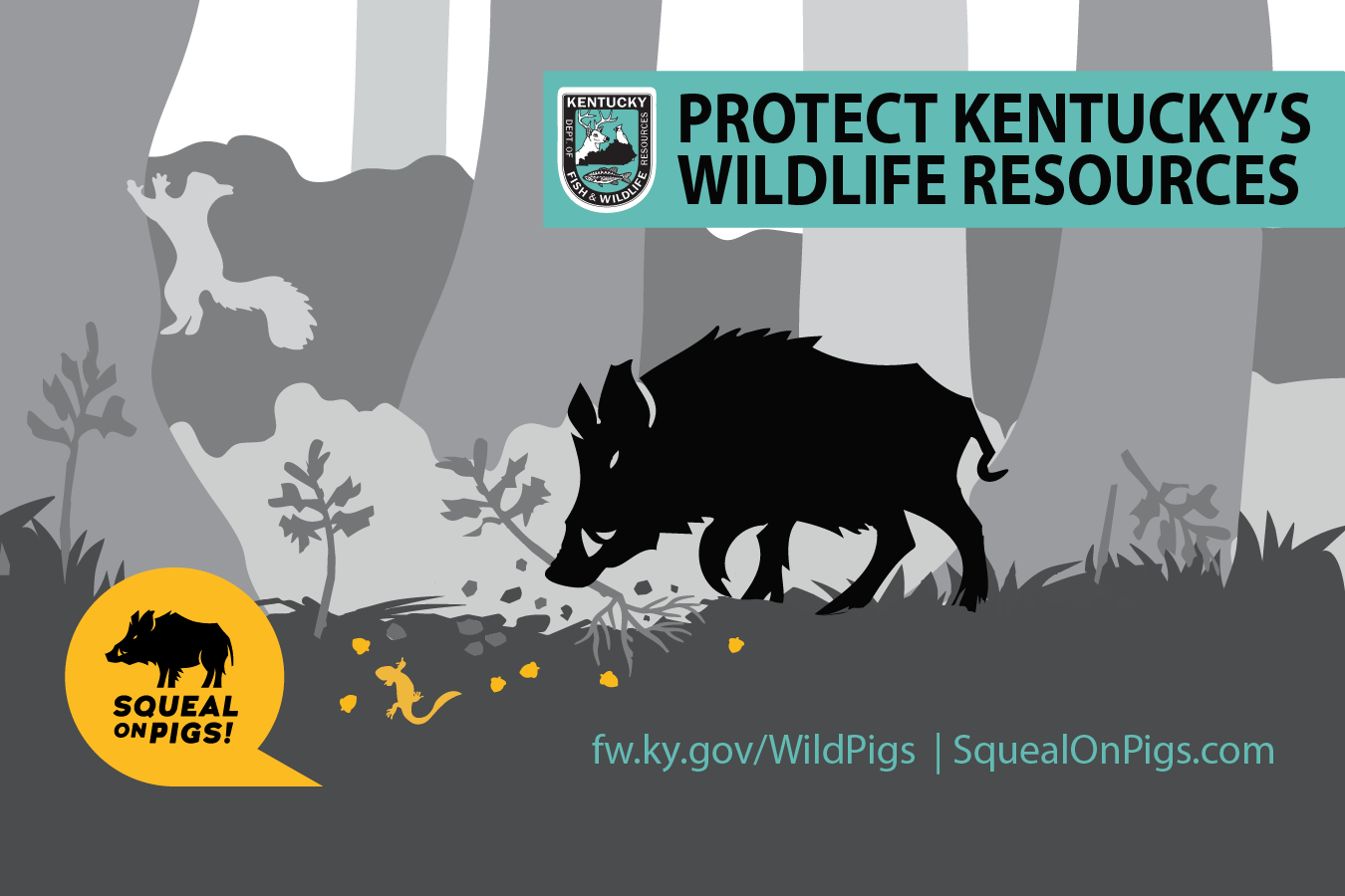 Wild-pigs-scenic-noqr