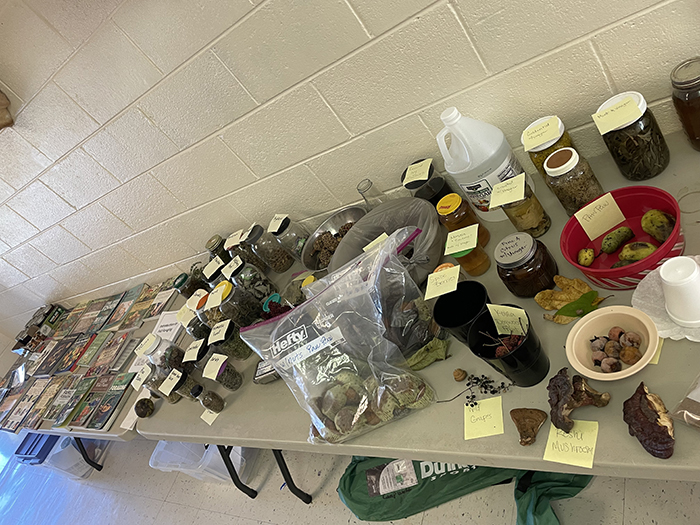 different foraging materials on a table