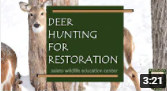 deer restoration video link