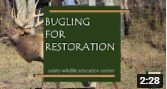 elk restoration video link