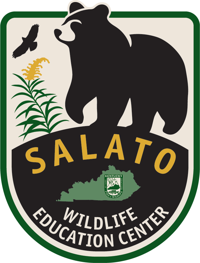 Salato Logo