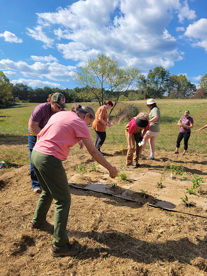 group of women working on a field