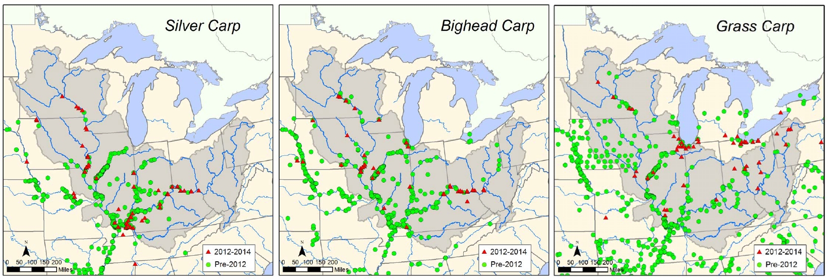 Asian Carp Distribution