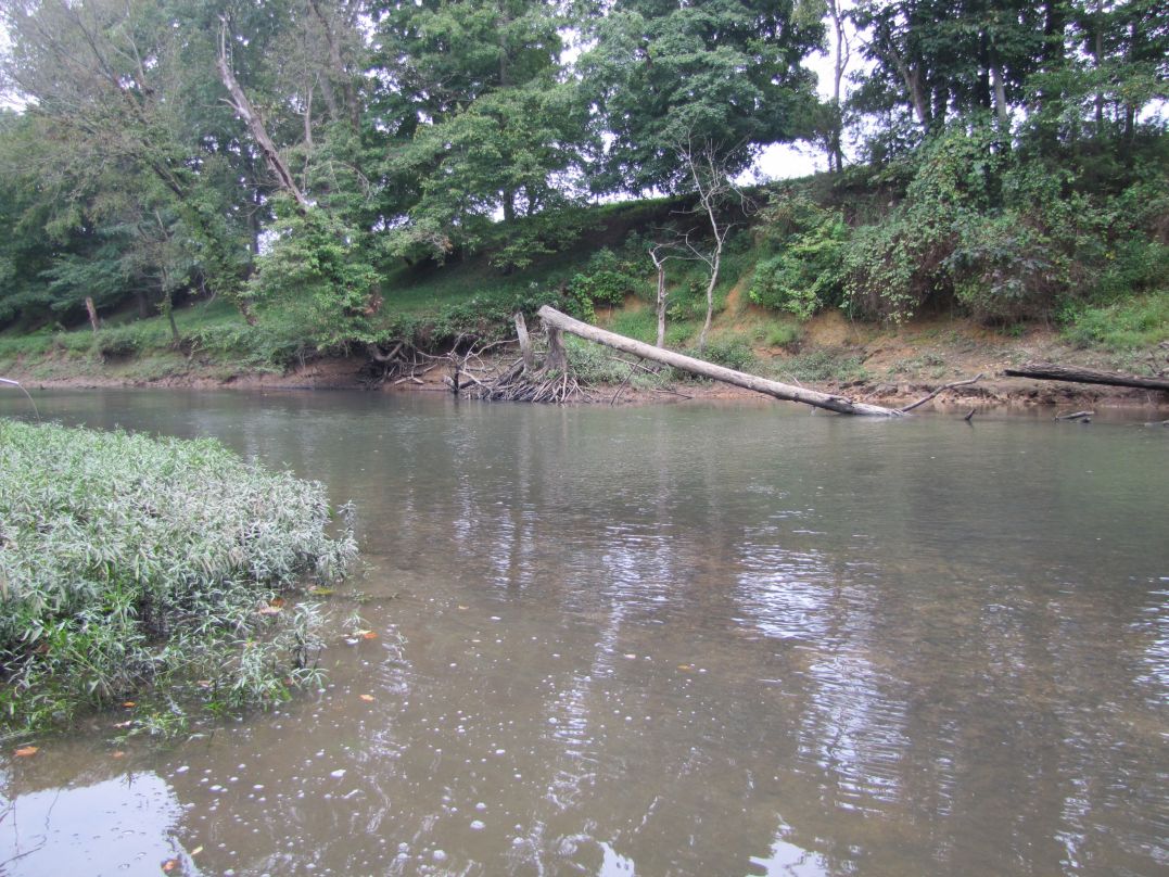 Barren River is a very scenic river providing a diversity of habitat and an excellent fishery.