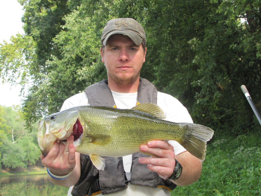 Fisheries technician, Nick Keeton, shows off a nice largemouth bass collected and released during sampling.  Target woody debris in the slower pools for best largemouth bass fishing.