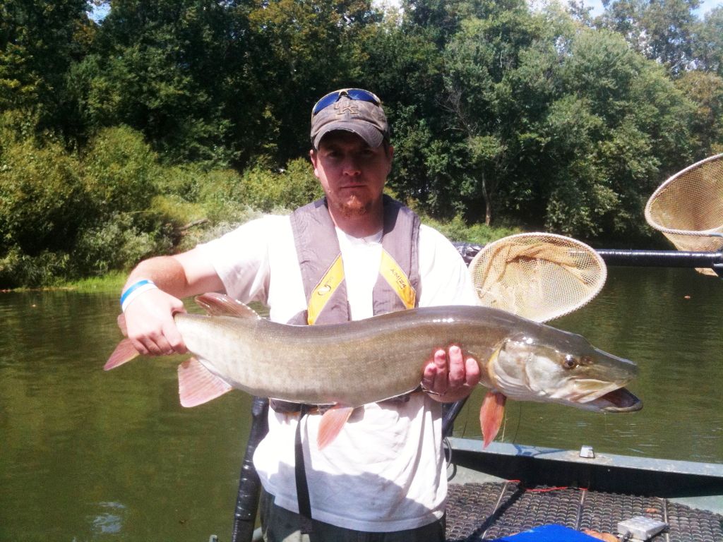 This nice 40 inch musky was collected and released between Beech Bend Park and James R. Hines Landing Park during a routine sport fish survey.