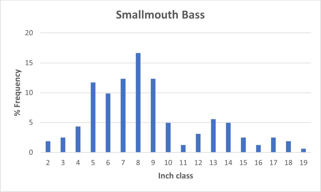 smallmouth bass length frequency graph