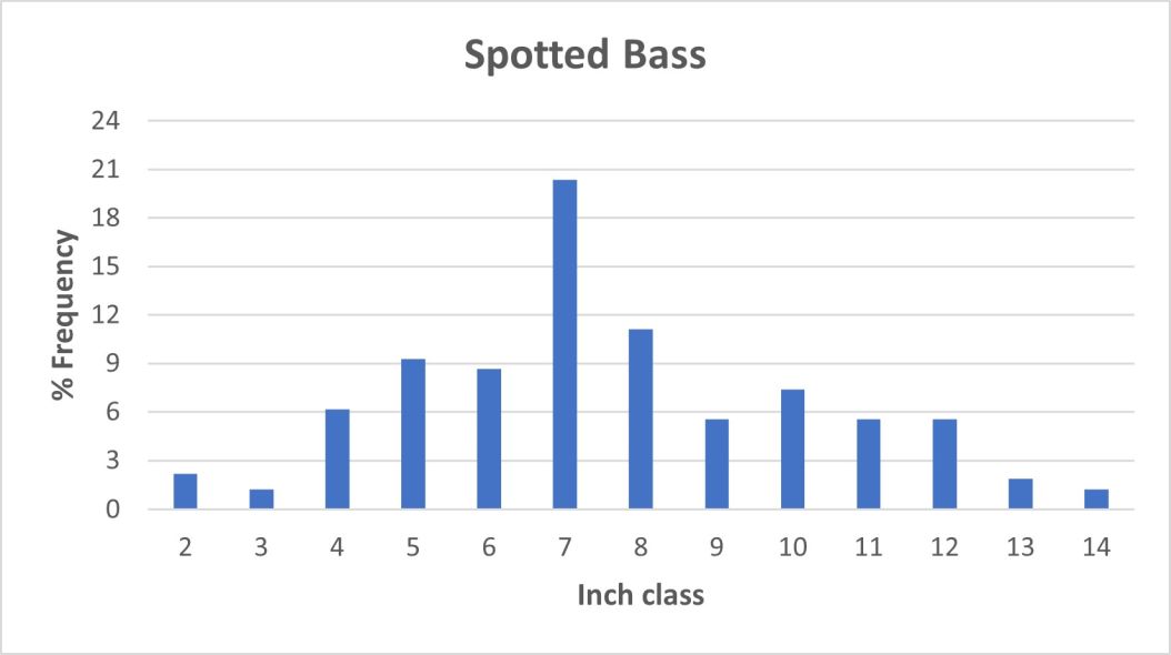 Kentucky Spotted Bass length frequency graph