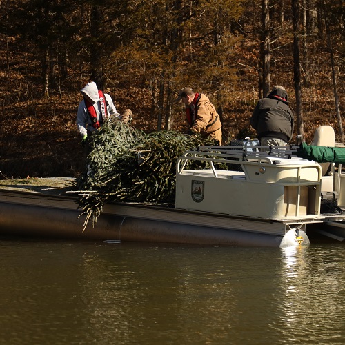 KDFWR dropping trees in a lake for habitat