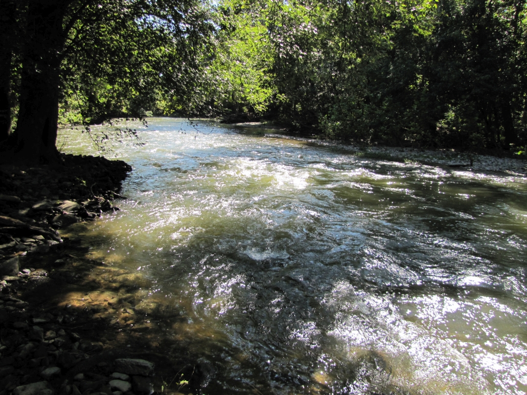 Elkhorn Creek is not only known for its quality fishery but also for its paddling.