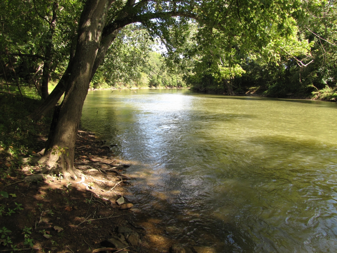 The scenic views and countless riffles make any trip on Elkhorn Creek memorable.