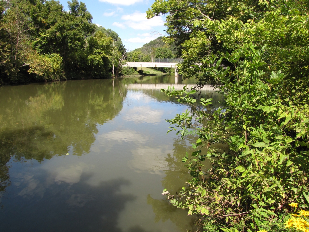Looking downstream toward KY 1262 bridge from the Peaks Mill Voluntary Public Access Site.