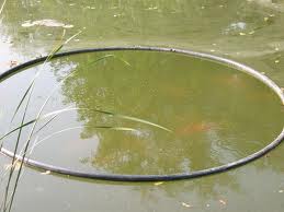 Homemade pond fish outlet feeder