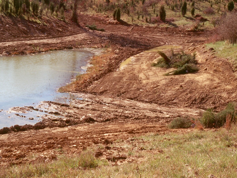 pond farm fish construction management planning ky wildlife kentucky department fw gov