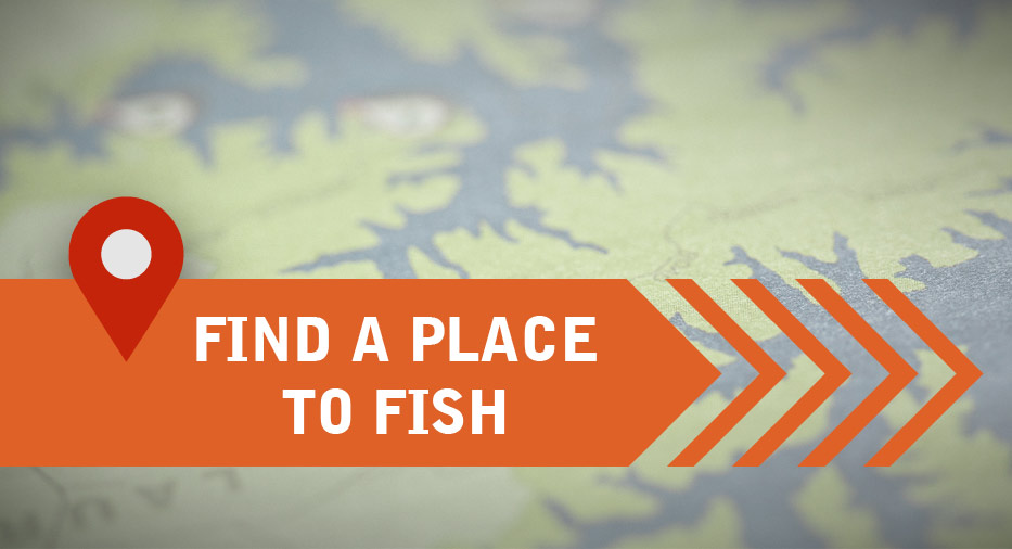 Where to Fish