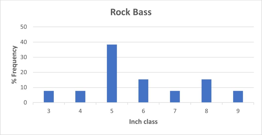 Rock Bass length frequency graph