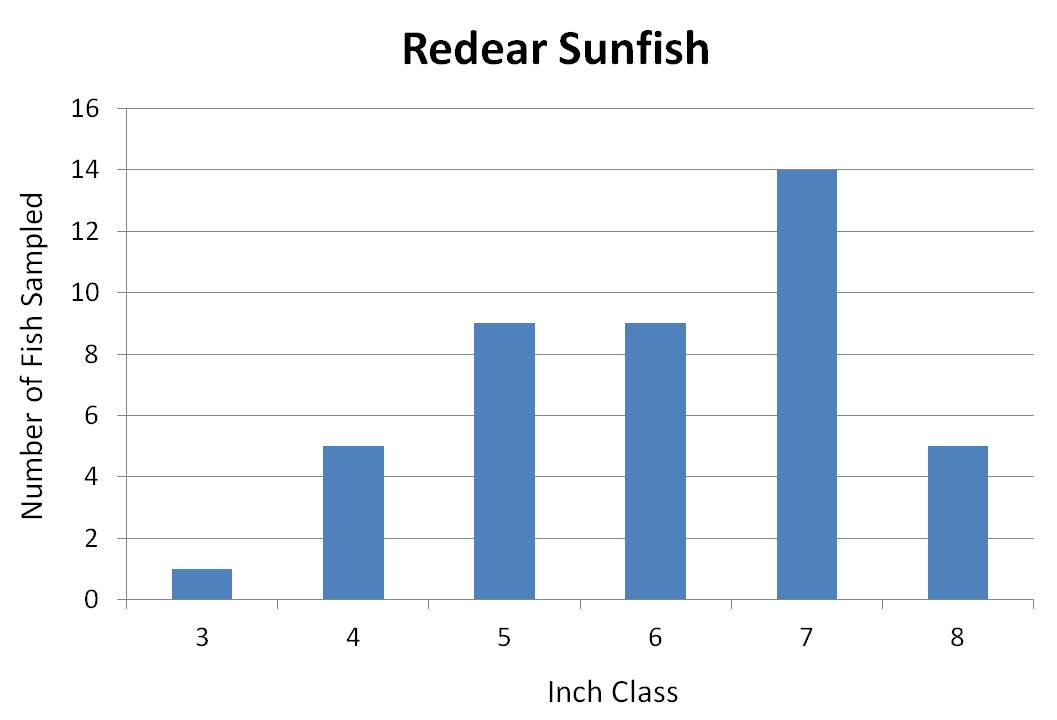 Redear Sunfish Length frequency graph