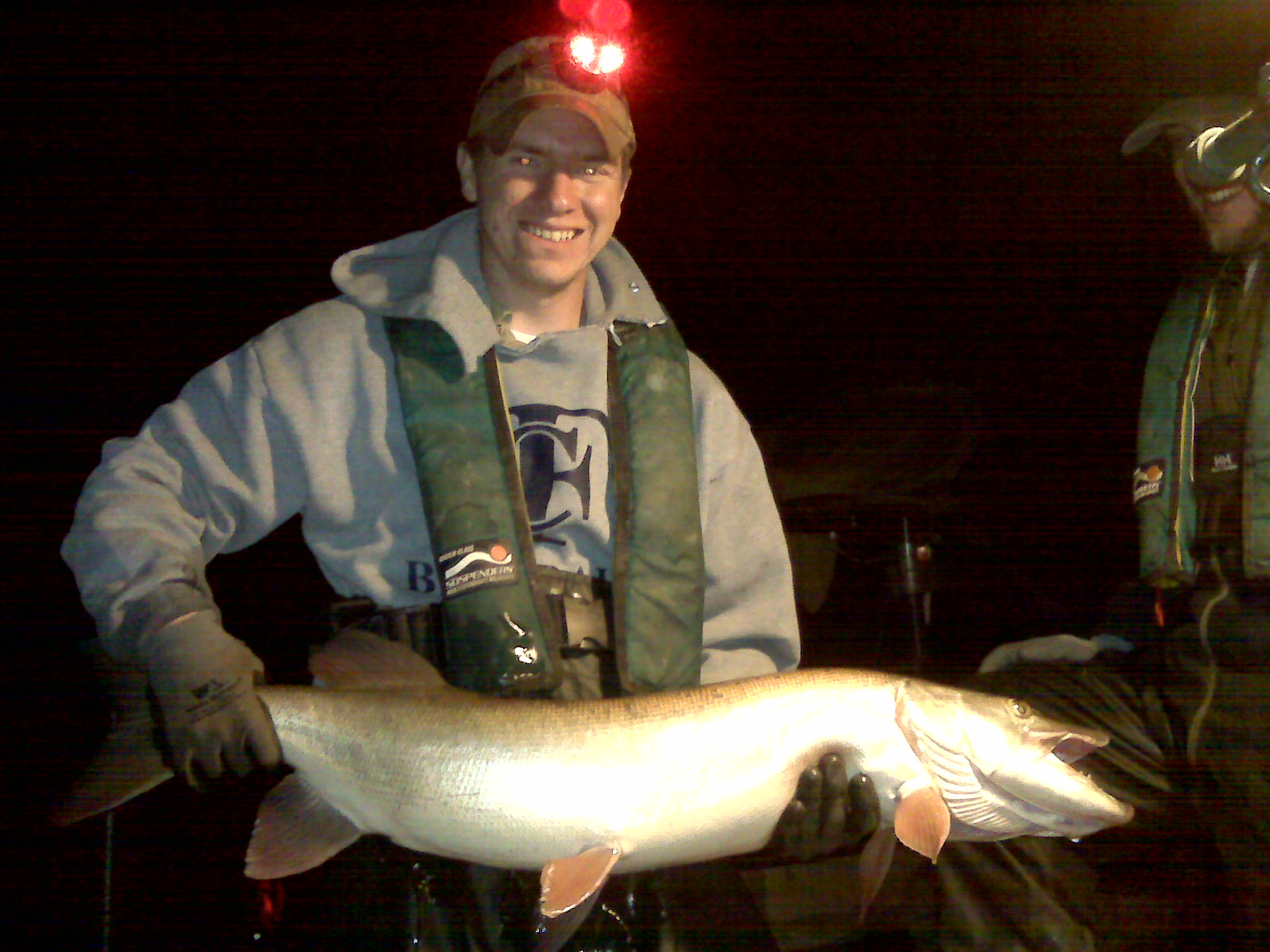 Trophy size musky can be found throughout the Green River, like this one collected and released in the tailwaters of Lock and Dam 5.