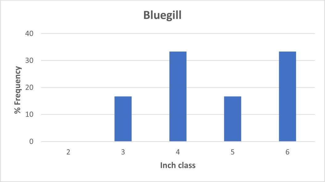Bluegill Length frequency graph