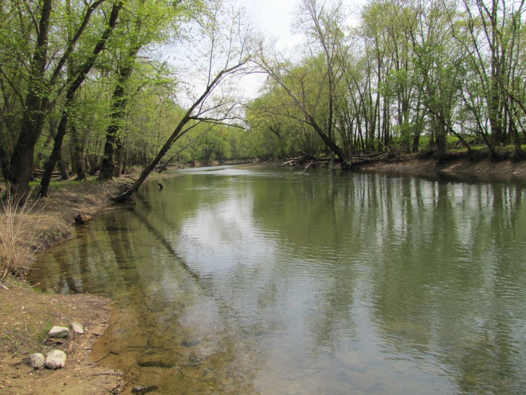 Green River Pool 6 - Photo Gallery - Kentucky Department of Fish & Wildlife