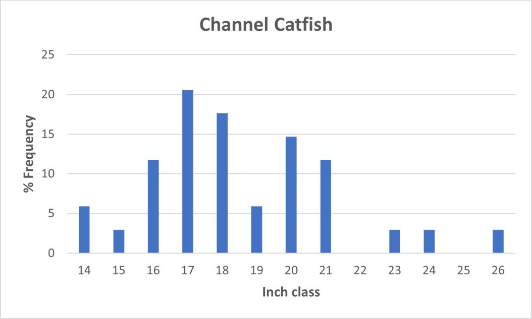 Channel Catfish length frequency graph