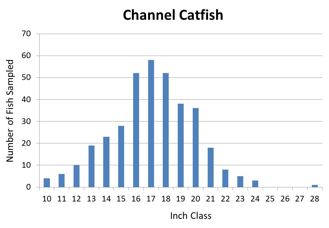 Channel Catfish Length frequency graph
