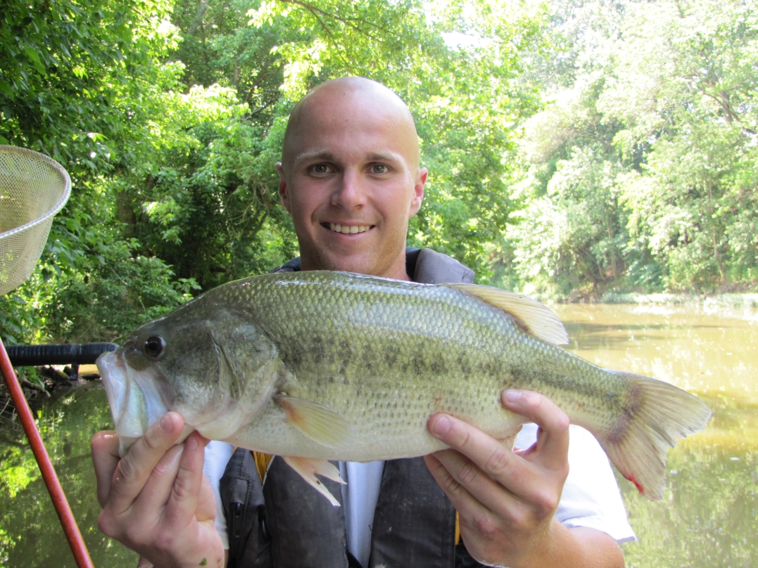 Largemouth bass can be found in the slower pools and impounded sections of Slate Creek.  Cory Woosley holds a nice largemouth collected and released during spring sport fish survey.