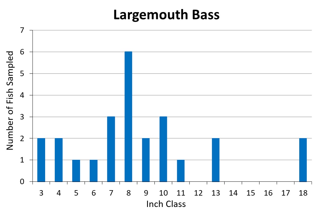 Largemouth Bass length frequency graph