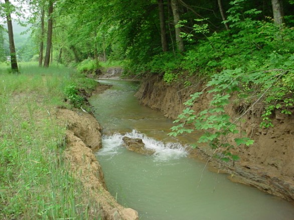 Terry's Branch before, eroding banks