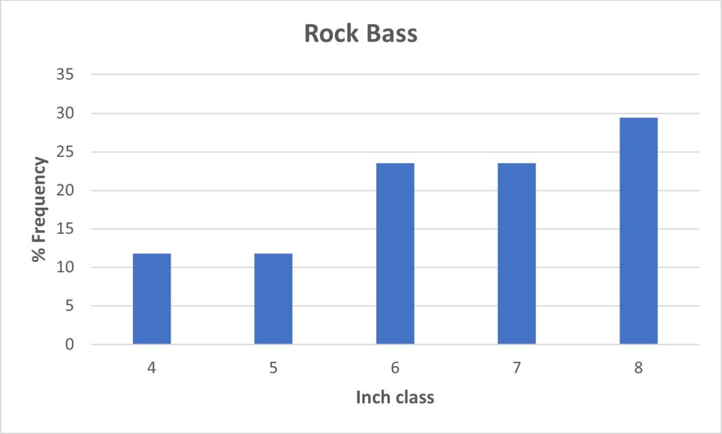 Rock Bass Length frequency graph