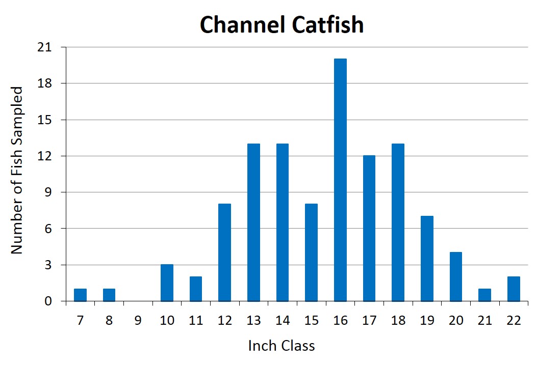 Channel Catfish length frequency graph
