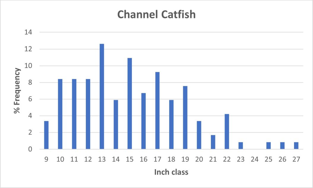 Channel Catfish length frequency graph