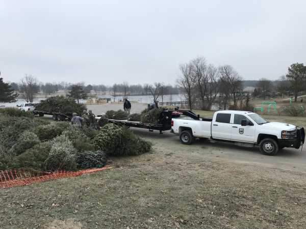 loading and hauling trees from the drop-off site