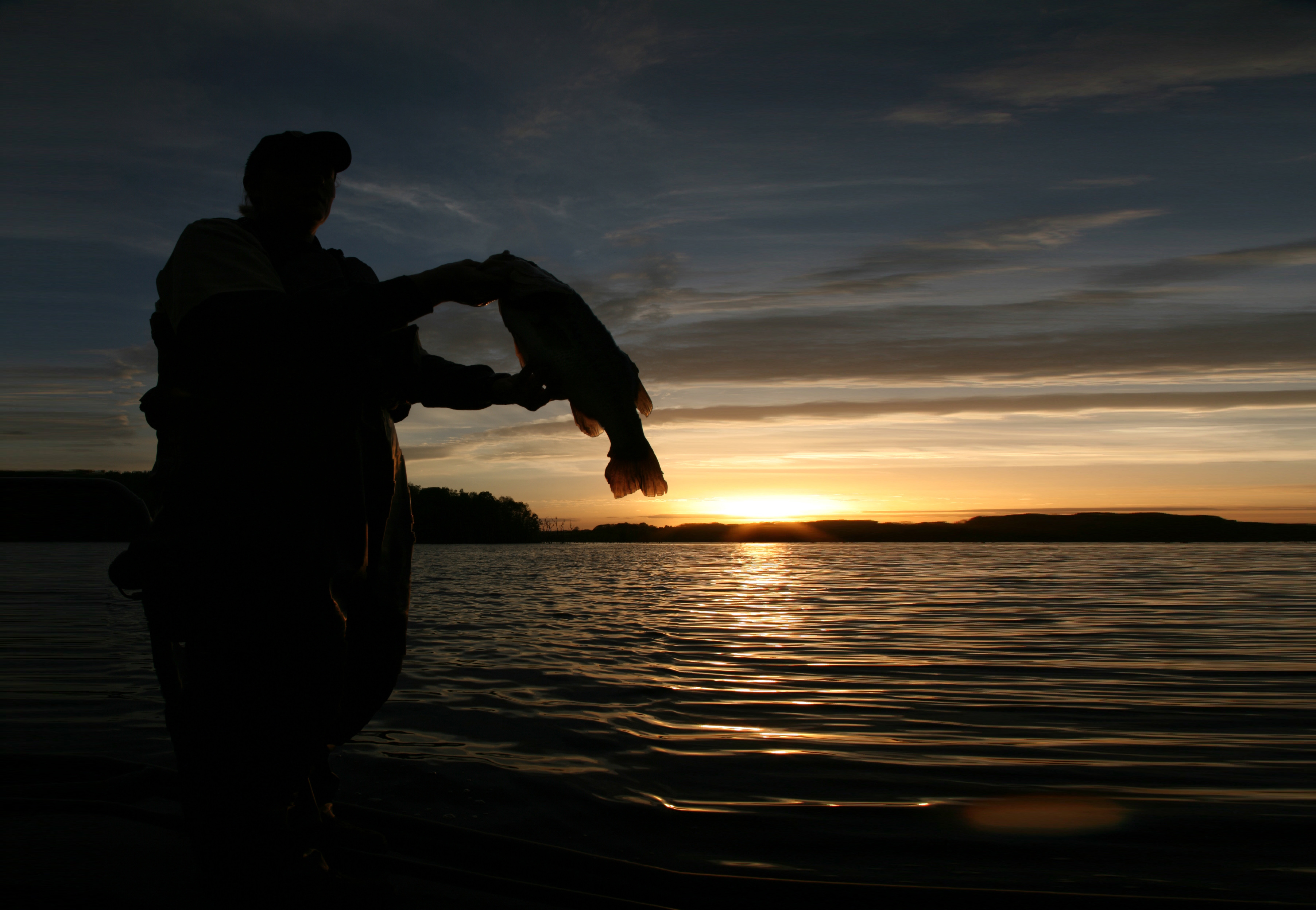 A person is holding a fish in a sunset